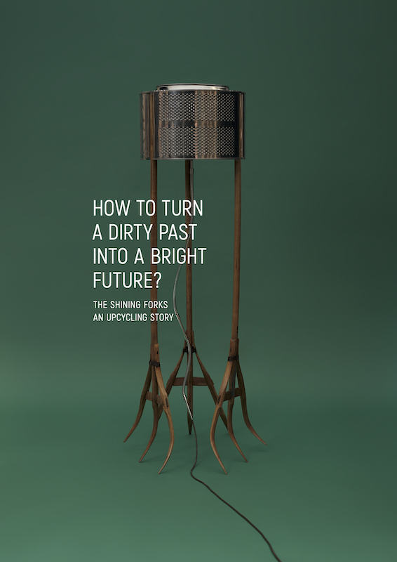 Book cover: Shining Forks